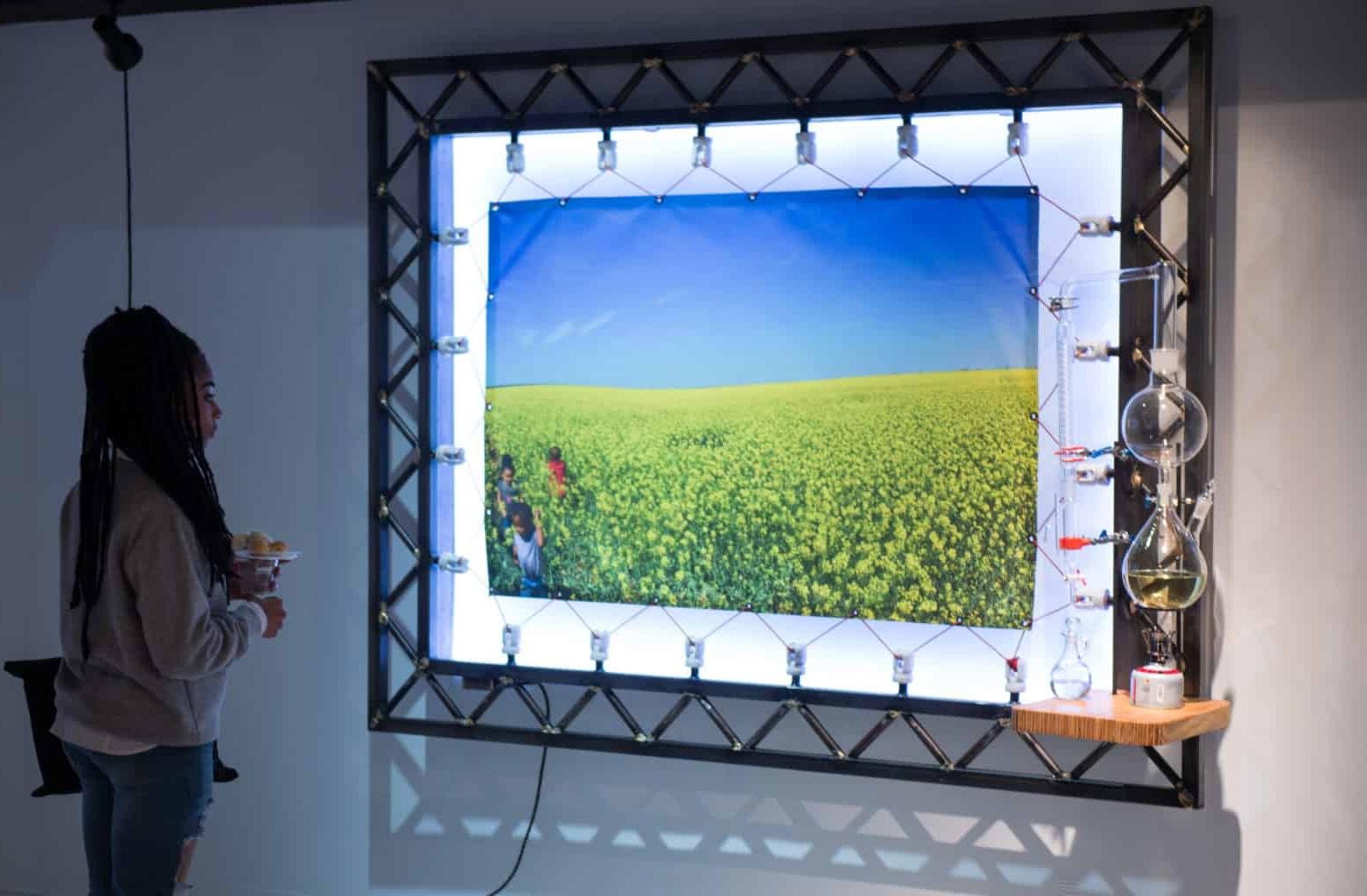 艺术展览展示背光照片与绿色的田野和天空.
